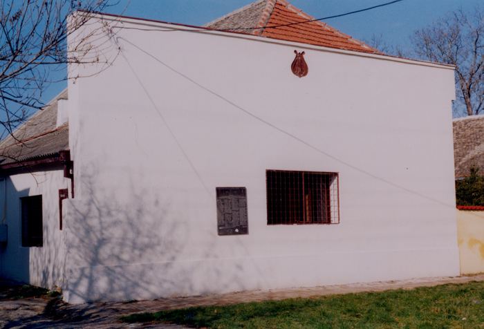 pevacki dom danas